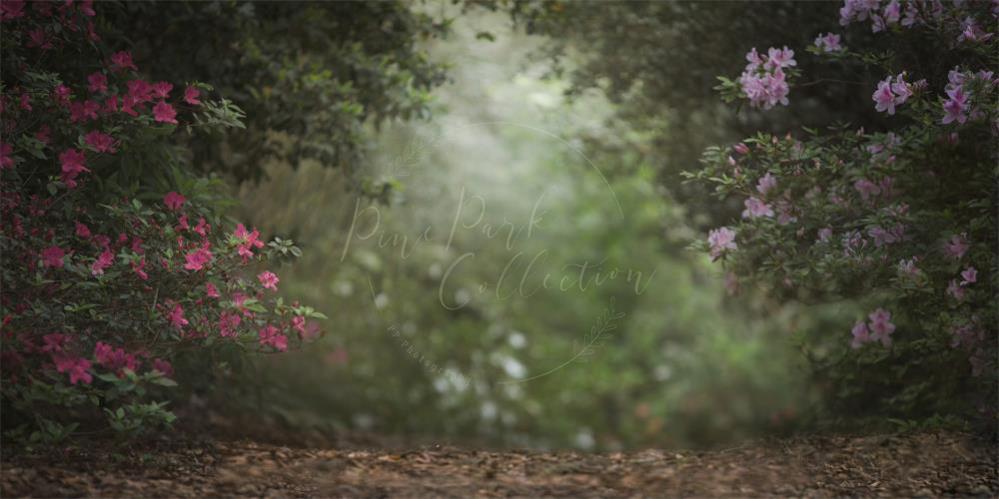 Kate Rosa Blumengarten Frühling Hintergrund für Fotografie von Pine Park Collection