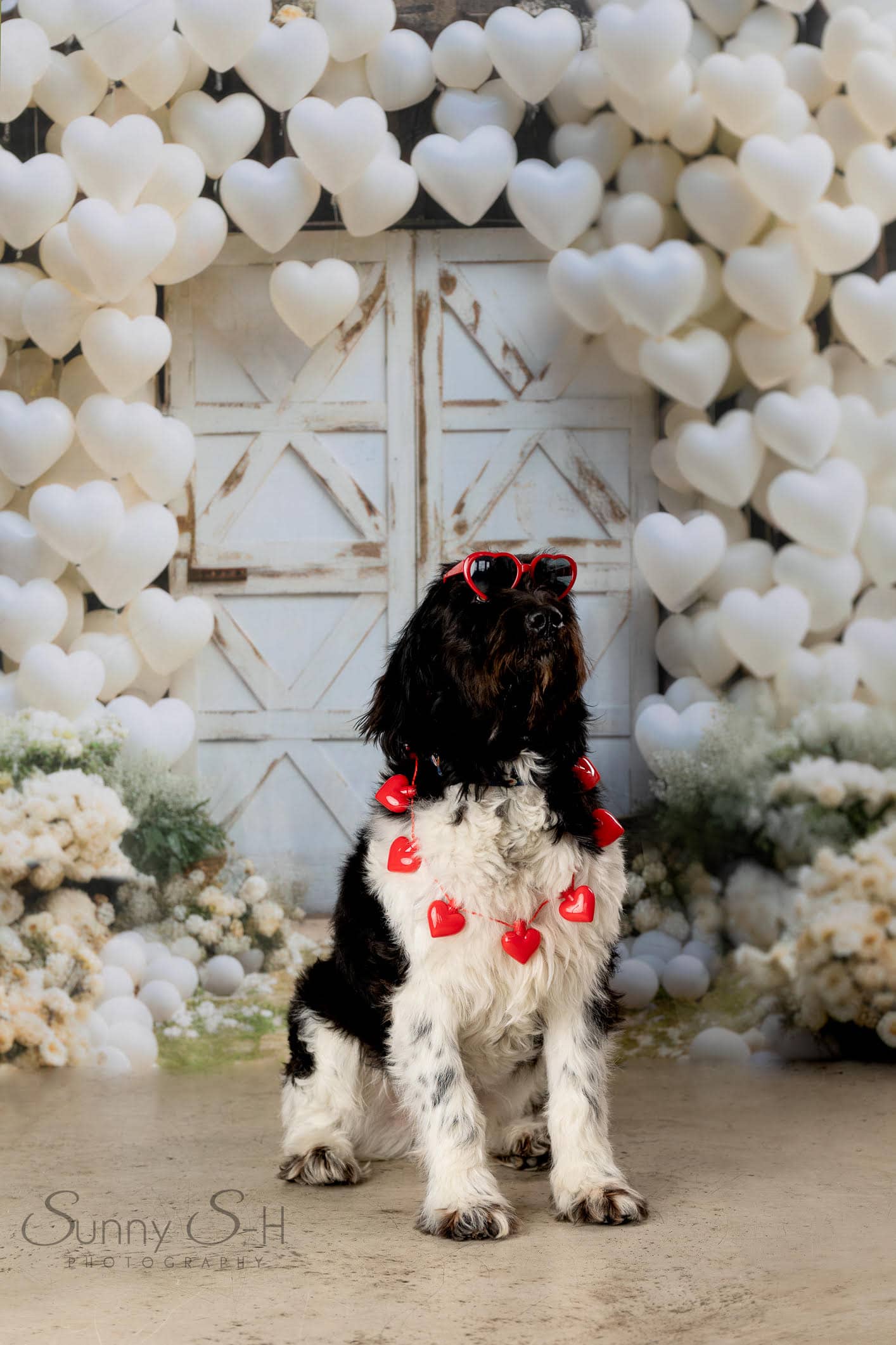 Kate Valentinstag Scheunentür Herzen Hintergrund von Mini MakeBelieve - Kate Backdrop.de