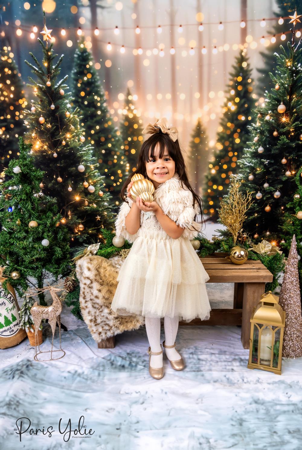 ⚡Blitzangebote --Kate Weihnachten im Freien Wald Hintergrund Entworfen von Emetselch - Kate Backdrop.de
