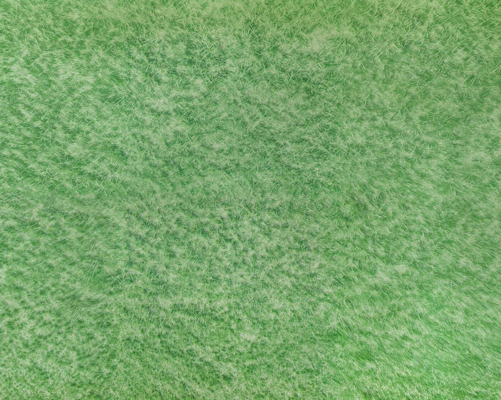 Kate Frühlingslichtgrünes Gras Boden Gummibodenmatte für Fotografie