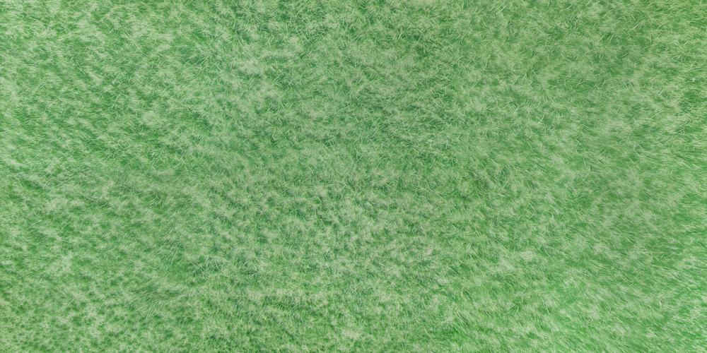 Kate Frühlingslichtgrünes Gras Boden Gummibodenmatte für Fotografie