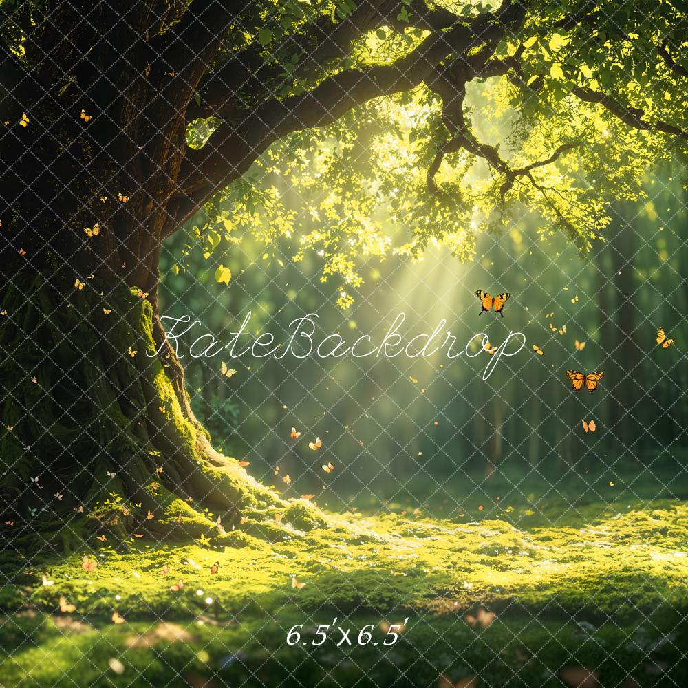 Kate Fairy Fantasy Baum Schmetterlinge Licht Hintergrund Entworfen von Emetselch - Kate Backdrop.de