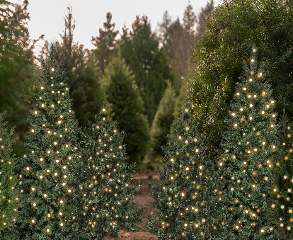 Kate Weihnachten Tannenbäume Lichter Wald Hintergrund Entworfen von Emetselch