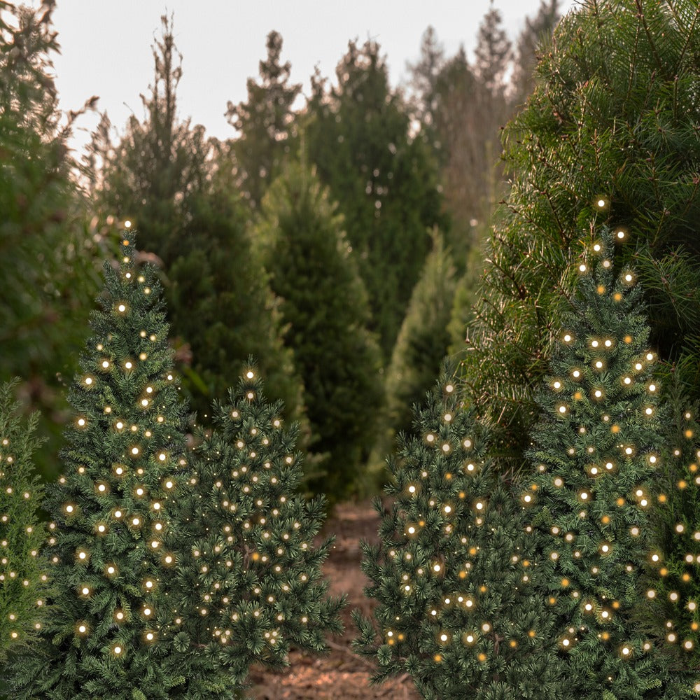 Kate Weihnachten Tannenbäume Lichter Wald Hintergrund Entworfen von Emetselch