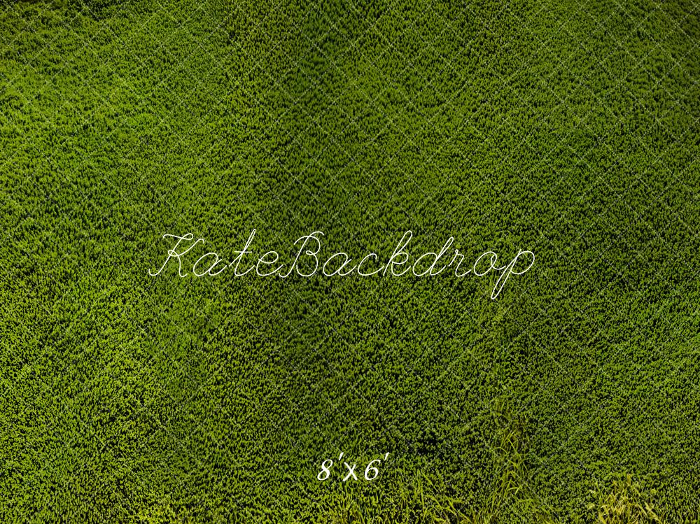 Kate Wiese Gras Textur Grün Hintergrund Entworfen von Kate Image