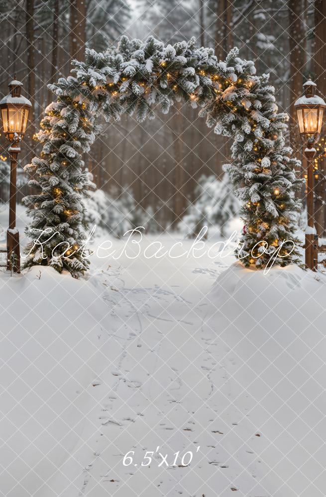 Kate Winter Tannenbogen Schneewald Fleece Hintergrund Entworfen von Emetselch - Kate Backdrop.de