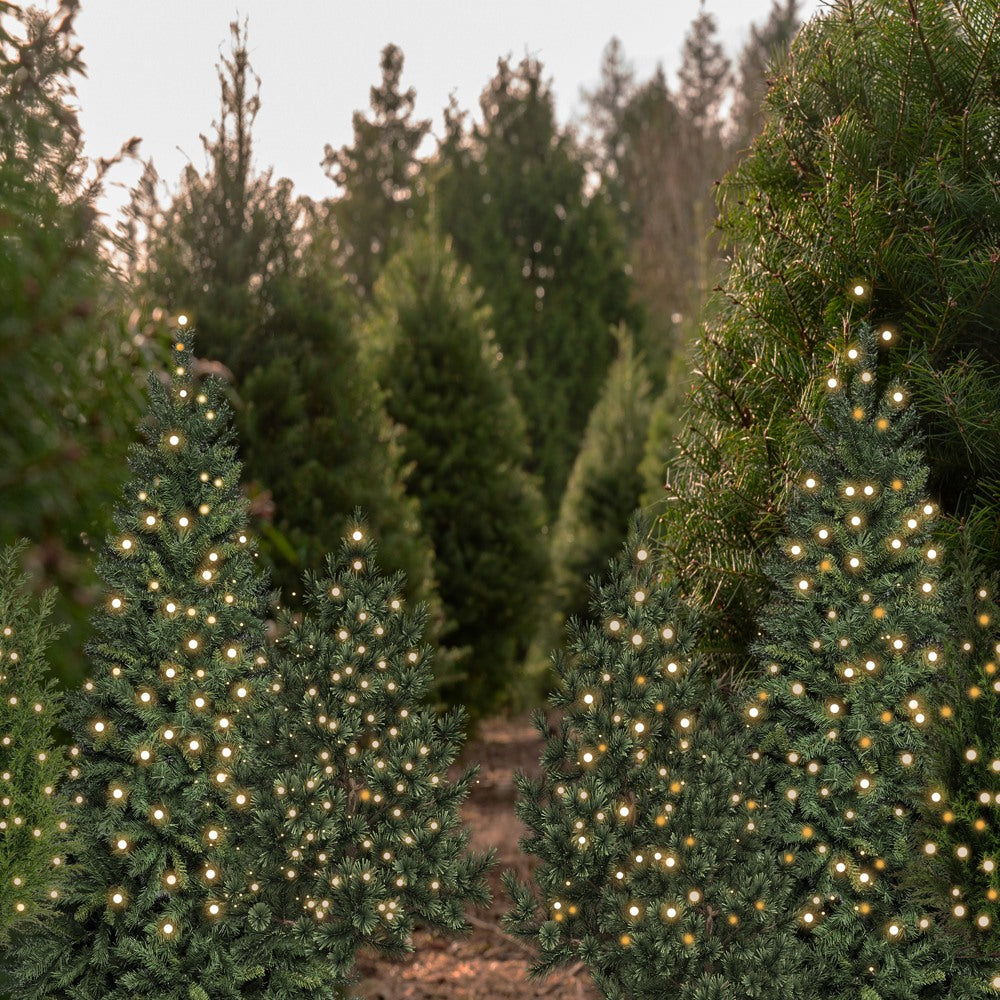 Kate Weihnachten Tannenbäume Lichter Wald Hintergrund Entworfen von Emetselch