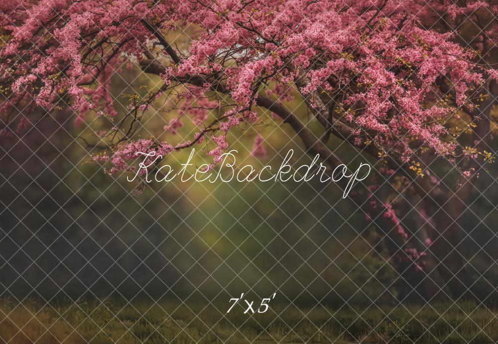 Kate Frühling Blütenzweig Natur Hintergrund Entworfen von Emetselch