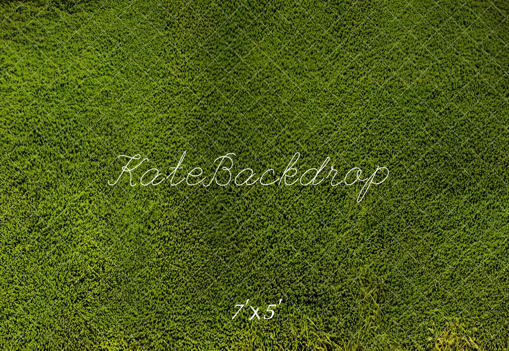 Kate Wiese Gras Textur Grün Hintergrund Entworfen von Kate Image