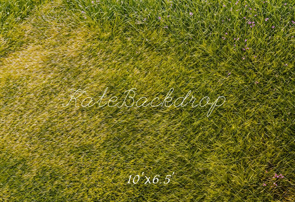 Kate Wiese Blumen Grün Fleece Hintergrund Entworfen von Kate Image - Kate Backdrop.de