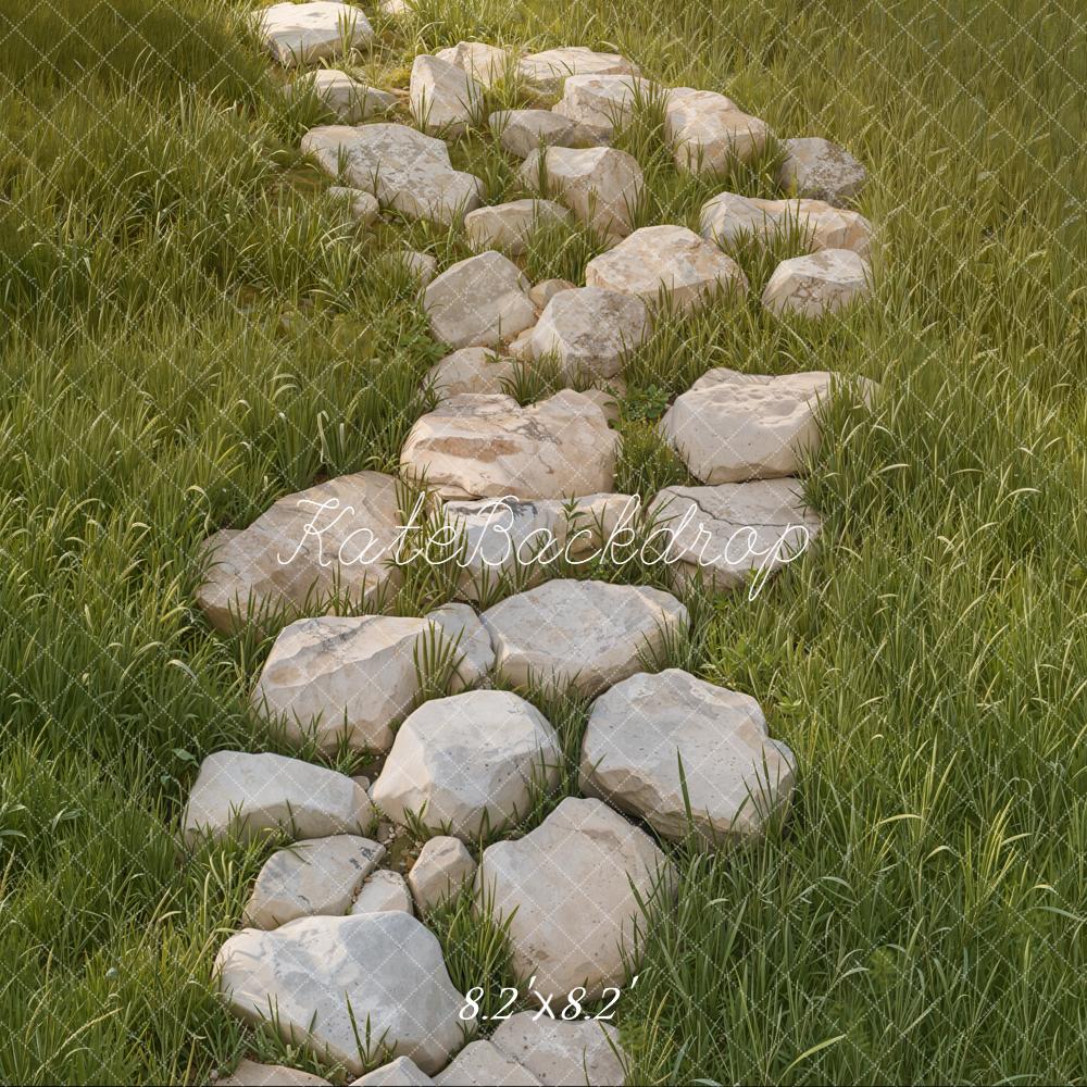 Kate Garten Steinweg Wiese Grün Hintergrund Entworfen von Kate Image - Kate Backdrop.de