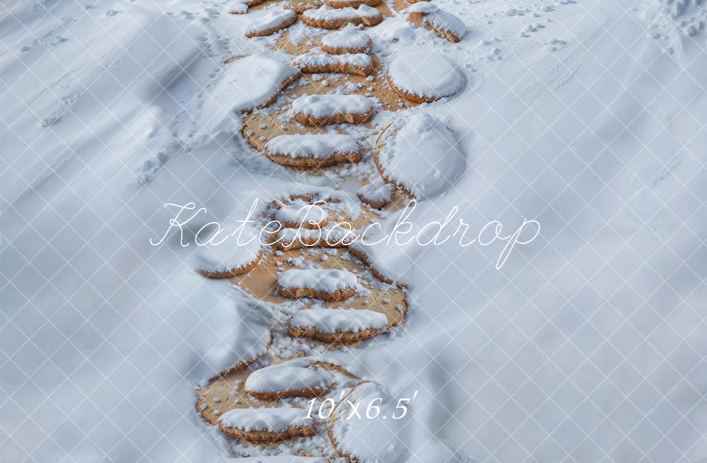 Kate Winter Holzweg Schnee Fleece Hintergrund Entworfen von Kate Image - Kate Backdrop.de