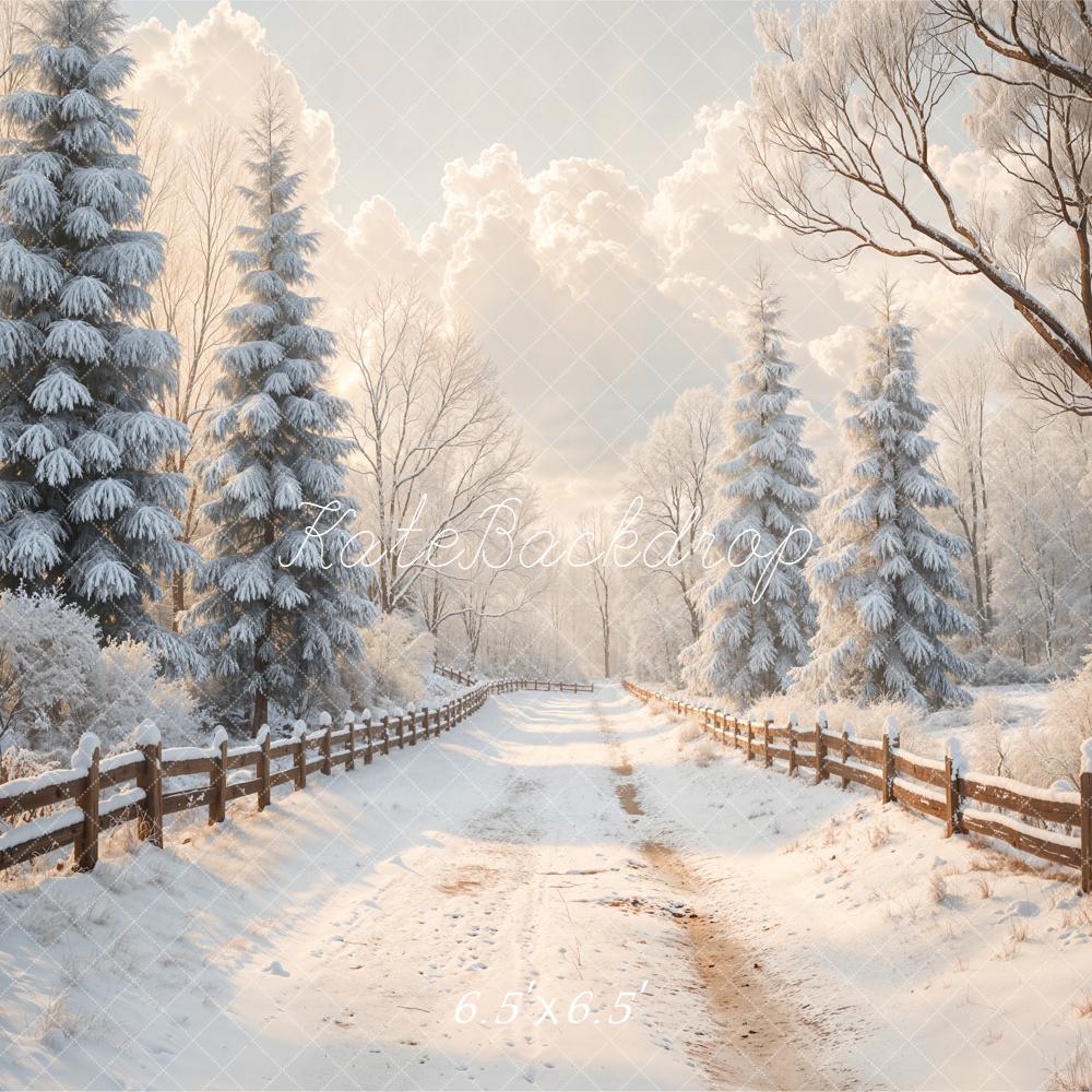 Kate Winter Verschneiter Weg Wald Weiß Hintergrund Entworfen von Emetselch - Kate Backdrop.de