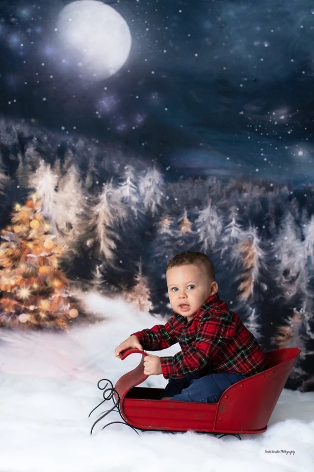 Kate Winter Dream Weihnachtsnacht Bäume Hintergrund für Fotografie von Jerry_Sina - Kate Backdrop.de