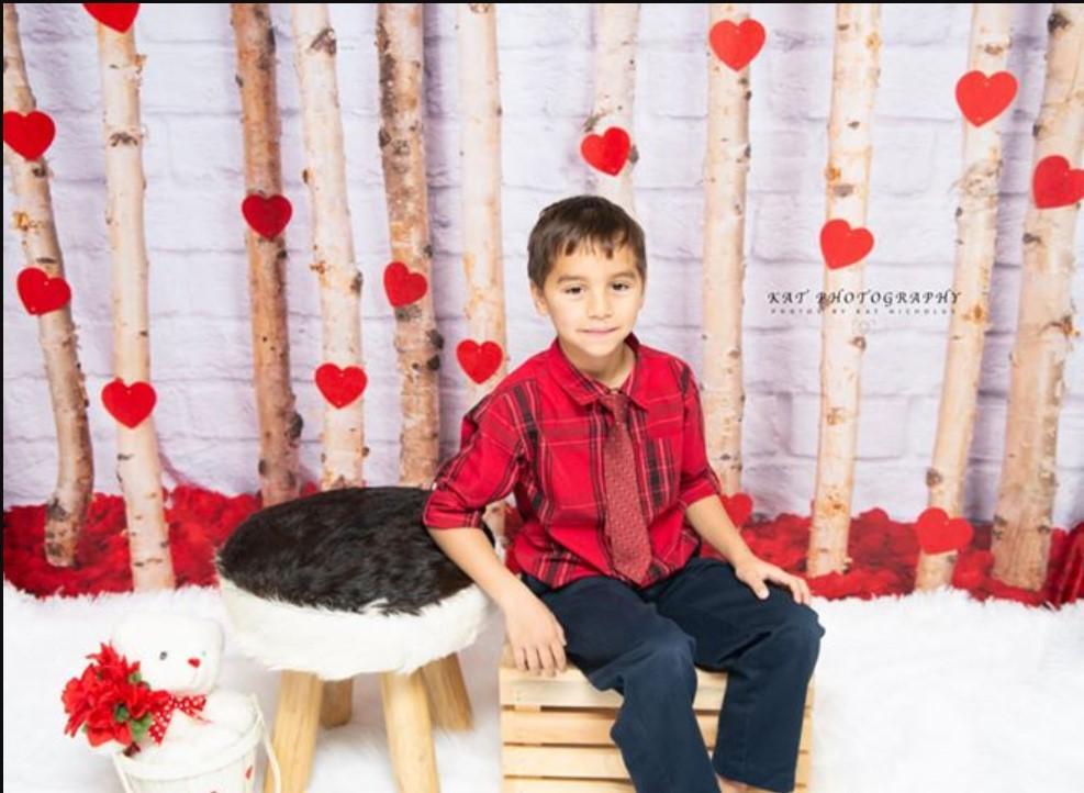 Katebackdrop：Kate Valentine's Day Roses Wooden Stick Backdrop Designed by Jia Chan Photography