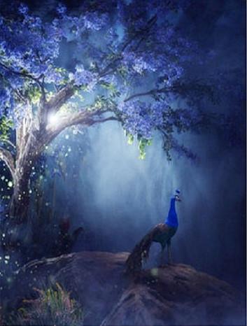 Katebackdrop：Kate Blue Night Tree Printed Backdrop Peacock For Children Fantasy Background