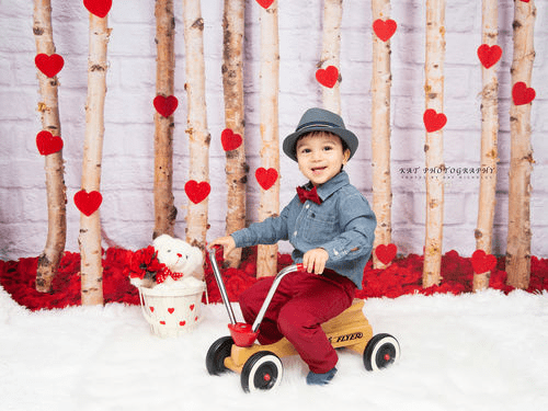 Katebackdrop：Kate Valentine's Day Roses Wooden Stick Backdrop Designed by Jia Chan Photography