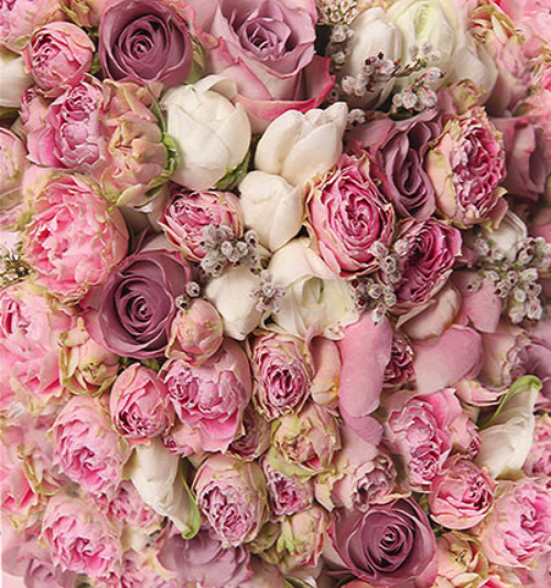 Katebackdrop：Kate Pink White Flowers For Wedding Photo Studio Valentine's Day Backdrops