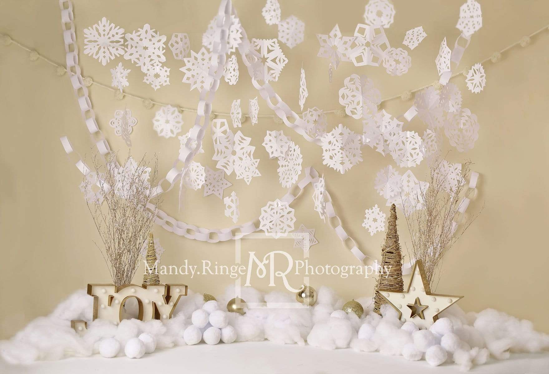 Katebackdrop£ºKate Chirstmas Winter Joy Birthday Backdrop cake smash Designed by Mandy Ringe Photography