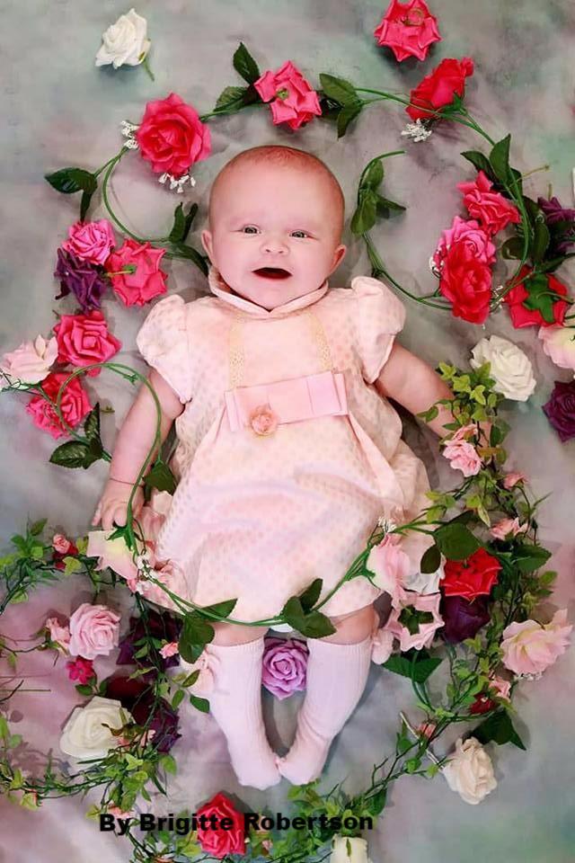 Katebackdrop：Kate Valentine's Day Pink Flowers Hand Painting Portrait Photography Backdrops