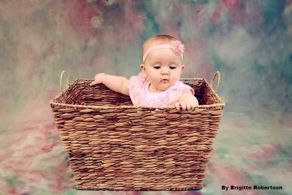 Katebackdrop：Kate Valentine's Day Pink Flowers Hand Painting Portrait Photography Backdrops