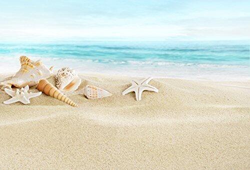 Katebackdrop：Kate Star fish Shells Beach Backdrops for Photography