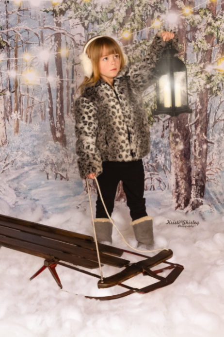 Kate Christmas Winter Snow Tree mit Lichter Kulisse für Fotografie von JFCC