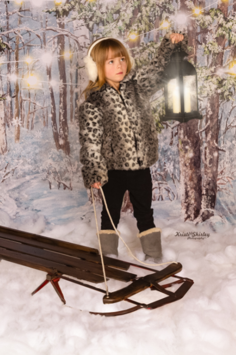 Kate Christmas Winter Snow Tree mit Lichter Kulisse für Fotografie von JFCC - Kate Backdrop.de