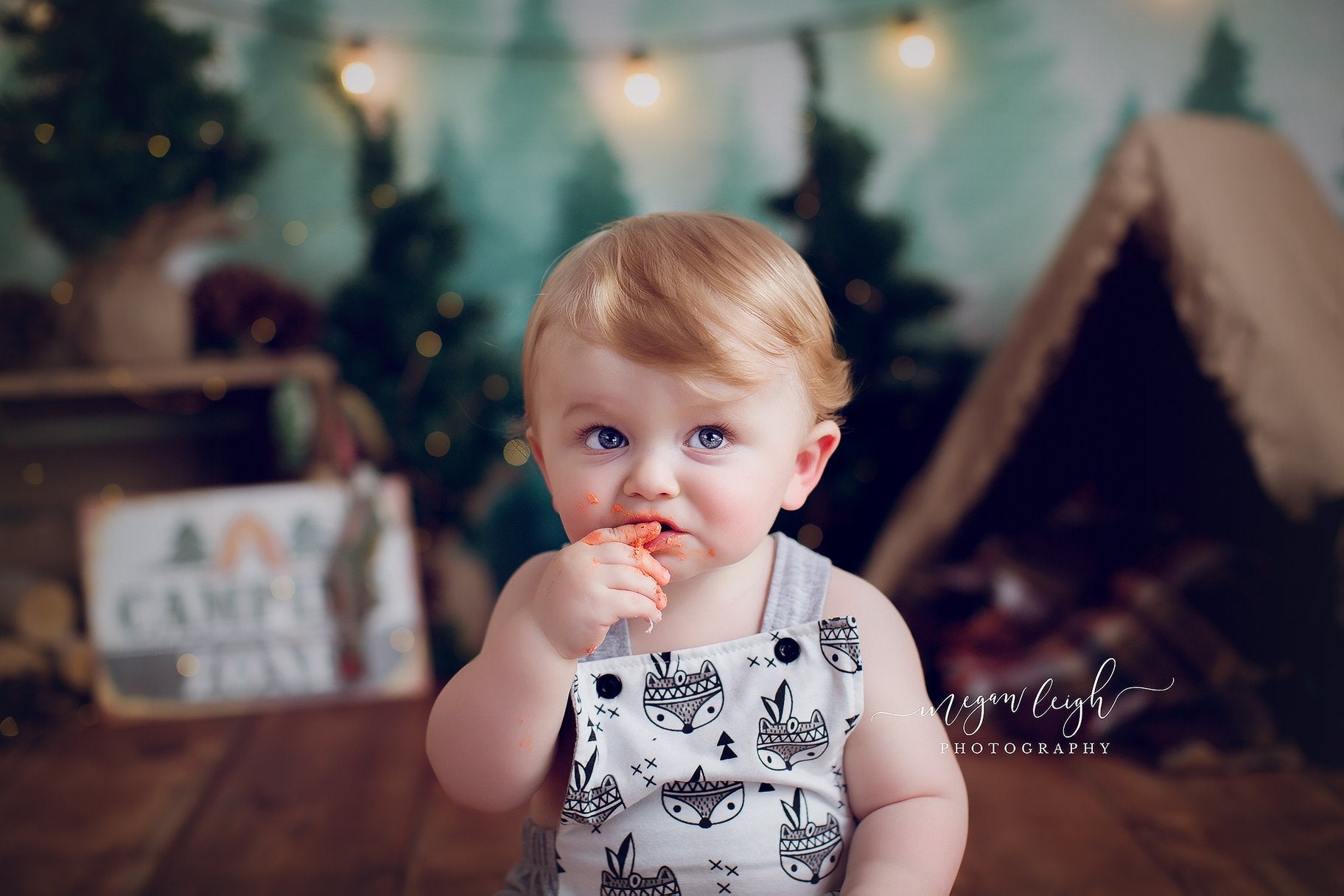 Kate Wald Geburtstag Kinder Hintergrund für Fotografie von Megan Leigh Photography - Kate Backdrop.de