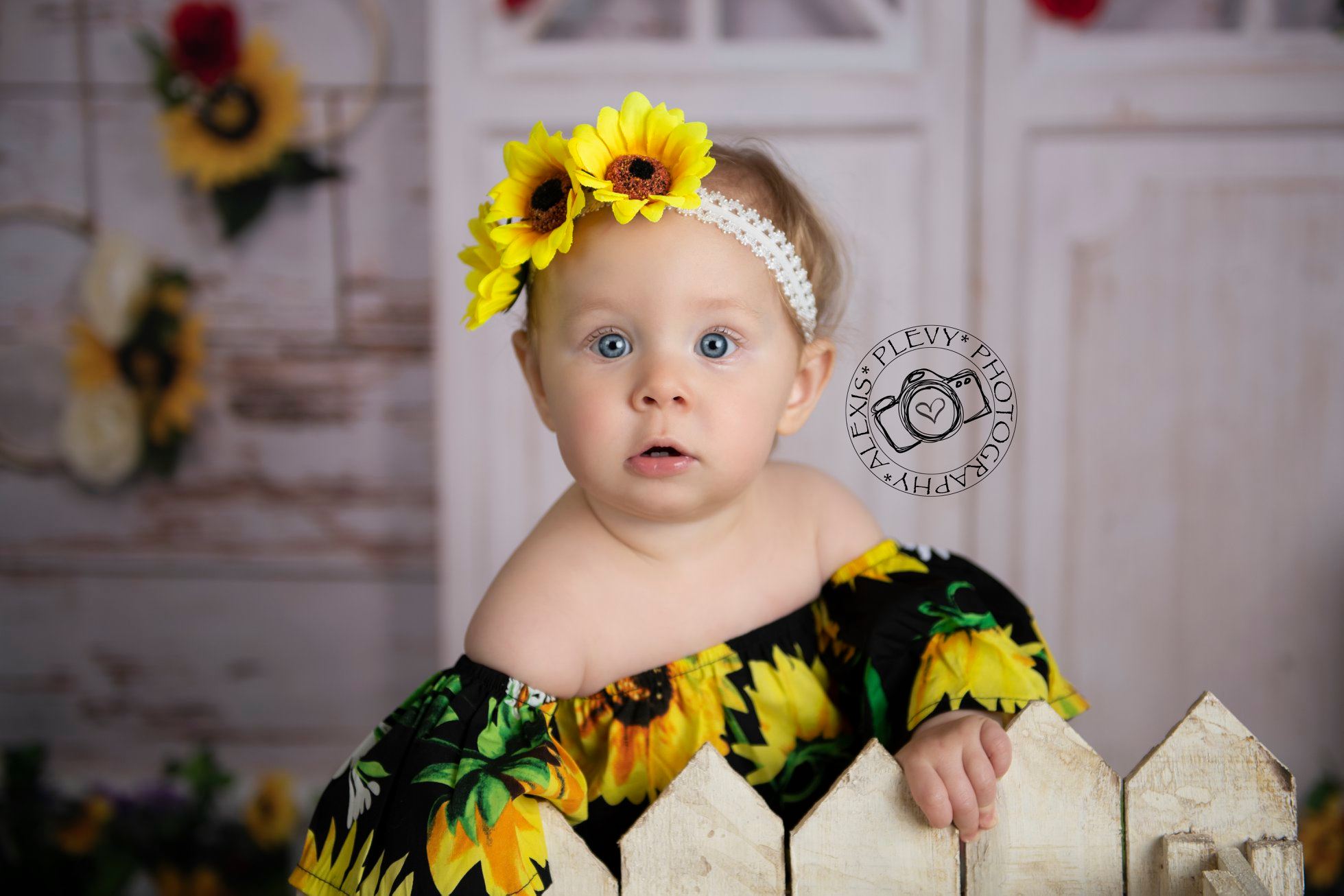 Kate Sie sind mein Sonnenschein-Weinlese-Wand-Sommer-Sonnenblume-Muttertagshintergrund Entworfen durch Staci Lynn Photography