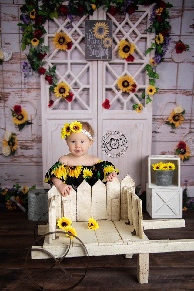 Kate Sie sind mein Sonnenschein-Weinlese-Wand-Sommer-Sonnenblume-Muttertagshintergrund Entworfen durch Staci Lynn Photography