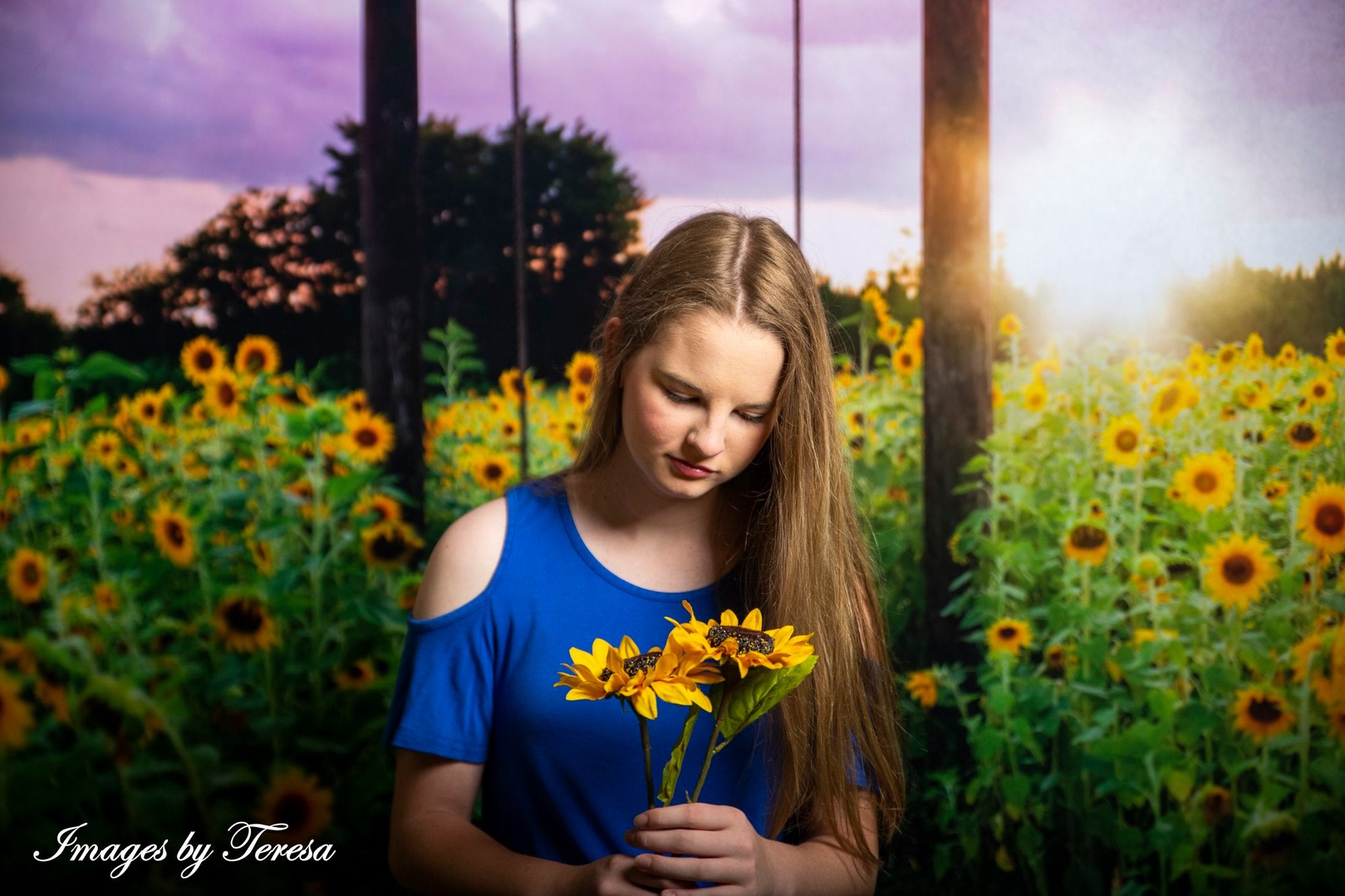 Kate Sonnenblumenschaukel Sommer Hintergrund Entworfen von Pine Park Collection
