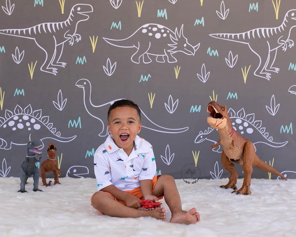 Kate Dinosaur Park Kinder Kulisse für Fotografie Entworfen von Amanda Moffatt - Kate Backdrop.de
