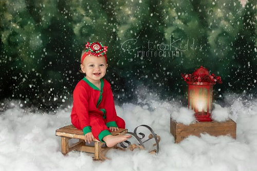 Kate Blendend Winter schneebedeckt Wald Hintergrund  für Fotografie von Modest Brushes - Kate Backdrop.de
