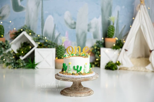 Kate Kaktus Frühling Kinder Hintergrund entworfen von Megan Leigh Photography - Kate Backdrop.de
