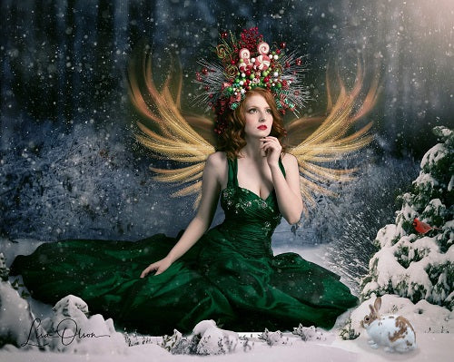 Kate Winter Schneebedeckt Wald Hintergrund für die Fotografie Designed By Jerry_Sina - Kate Backdrop.de