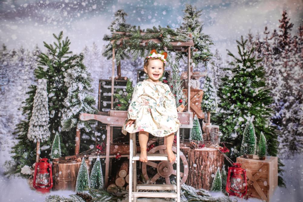 Kate Weihnachtsbäume Weihnachten Hintergrund Winter Schnee von Emetselch - Kate Backdrop.de