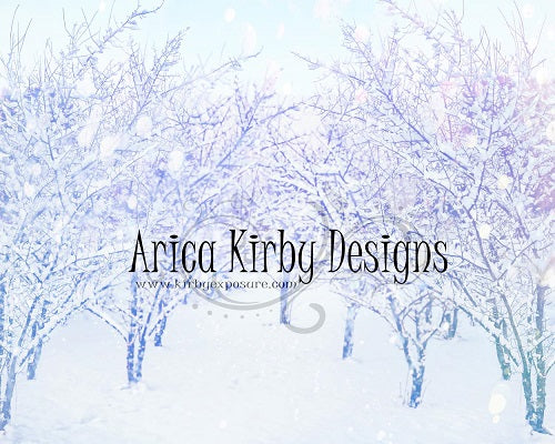 Kate Winter Hintergrund entworfen von Arica Kirby Photography