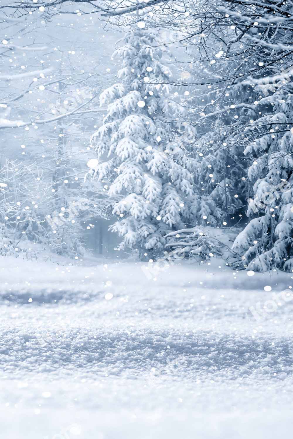 Kate Kombibackdrop Winter Schnee Wald Hintergrund