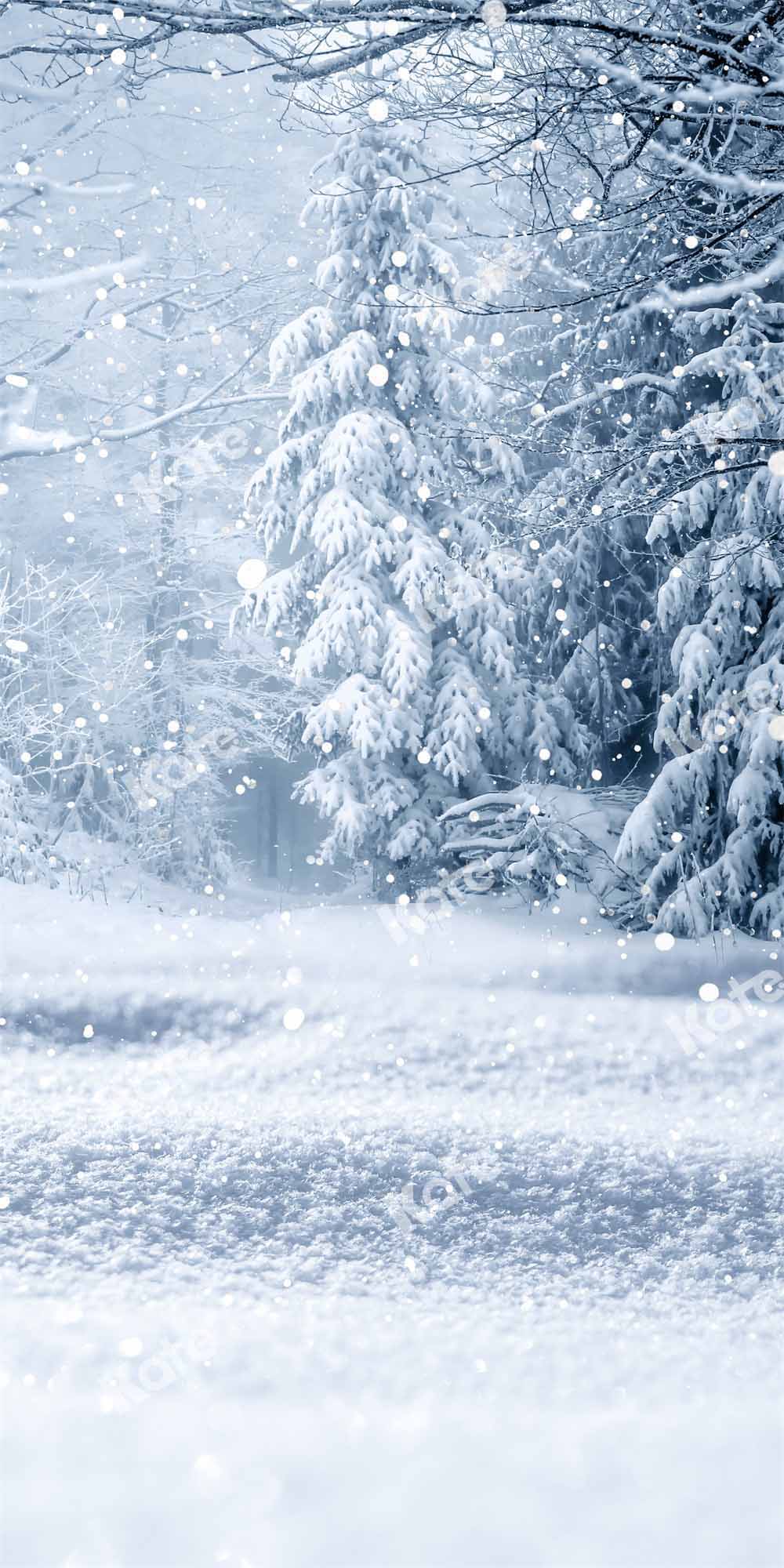 Kate Kombibackdrop Winter Schnee Wald Hintergrund