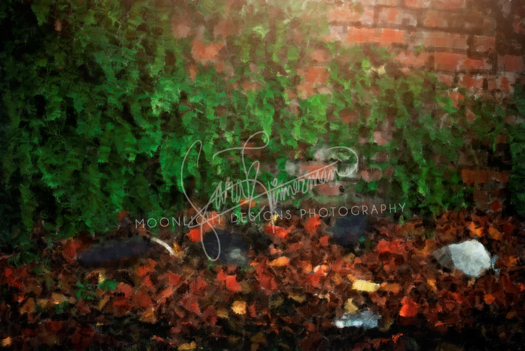 Kate Green lässt rote Wand Kulisse für Fotografie von Sarah Timmerman