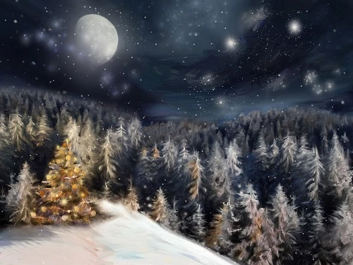 Winter Dream Weihnachtsnacht Bäume Hintergrund