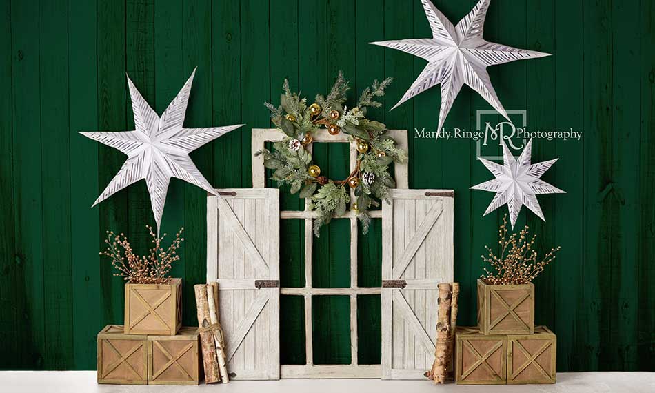 Kate Immergrüner Weihnachten Sterne Hintergrund von Mandy Ringe Photography - Kate Backdrop.de