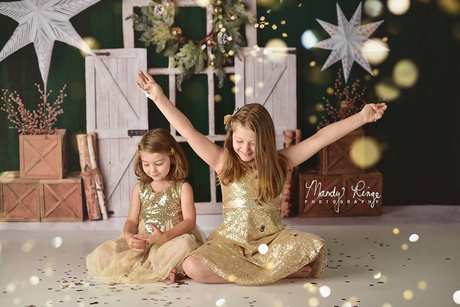 Kate Immergrüner Weihnachten Sterne Hintergrund von Mandy Ringe Photography - Kate Backdrop.de