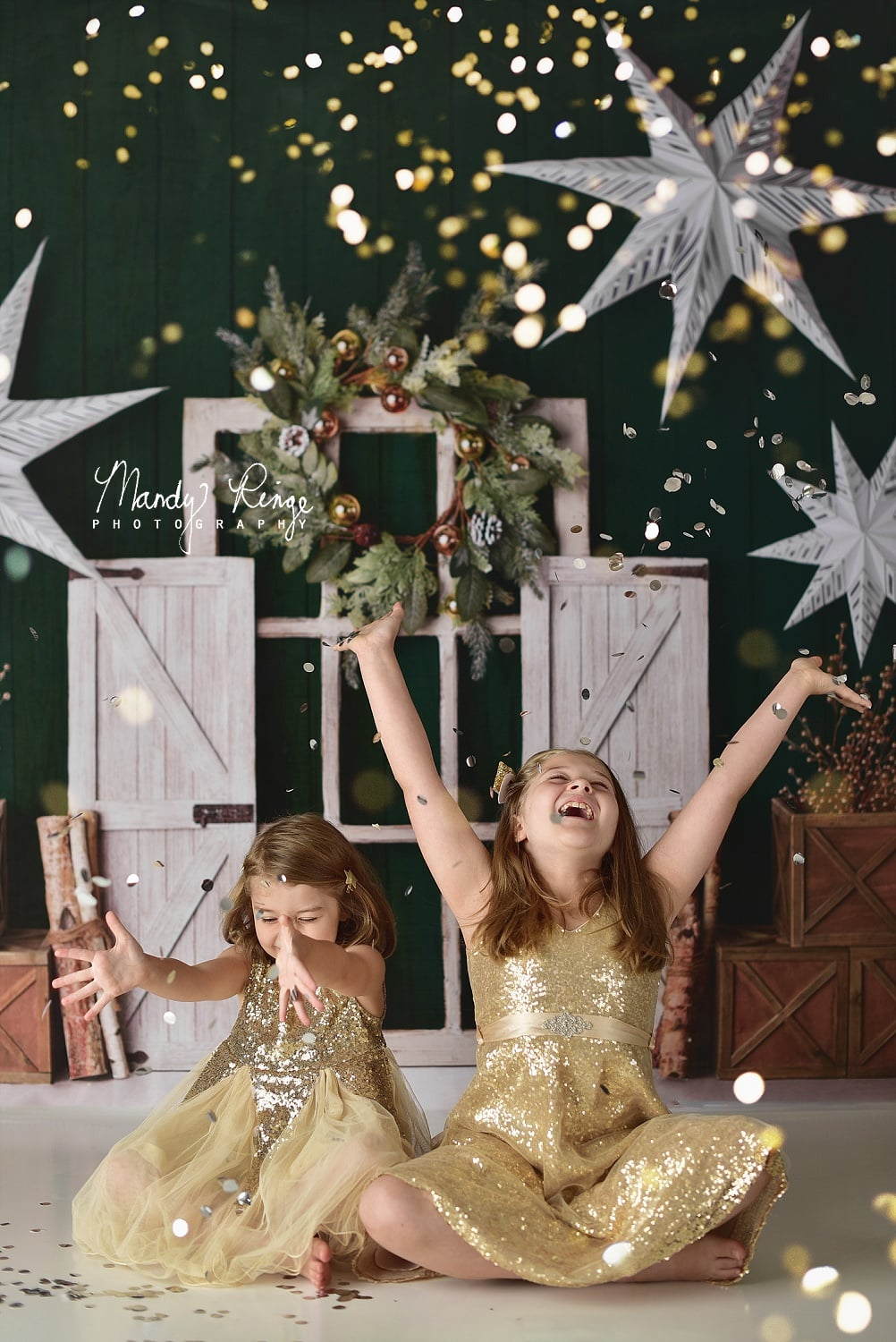 Kate Immergrüner Weihnachten Sterne Hintergrund von Mandy Ringe Photography - Kate Backdrop.de