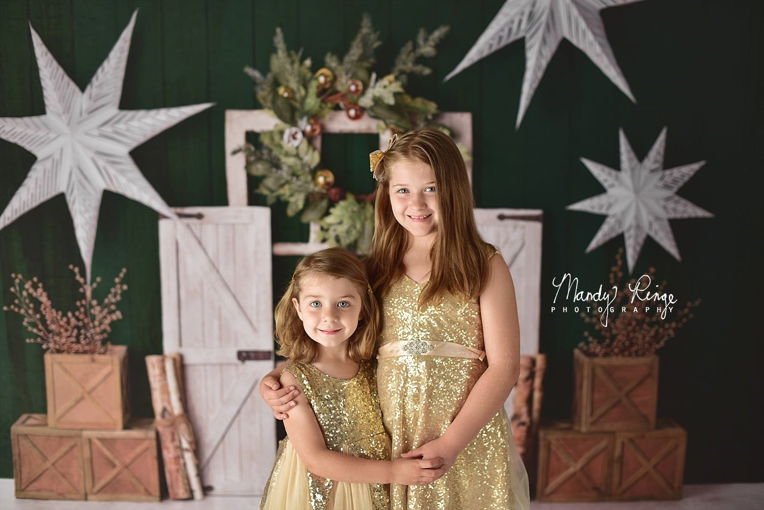 Kate Immergrüner Weihnachten Sterne Hintergrund von Mandy Ringe Photography - Kate Backdrop.de