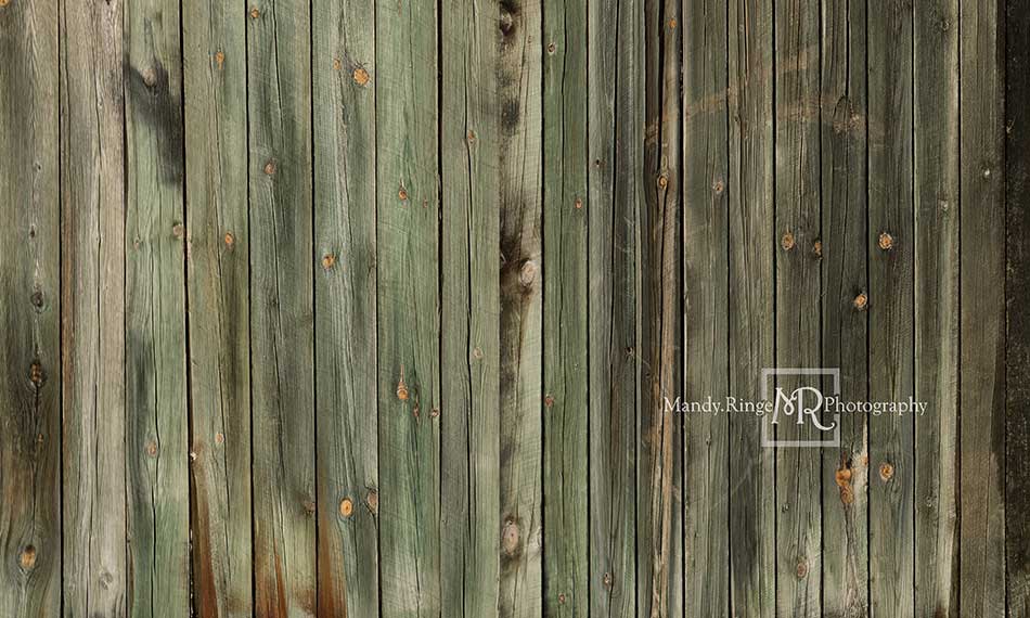 Kate Grünlich Holz Hintergrund  Retro von Mandy Ringe Photography