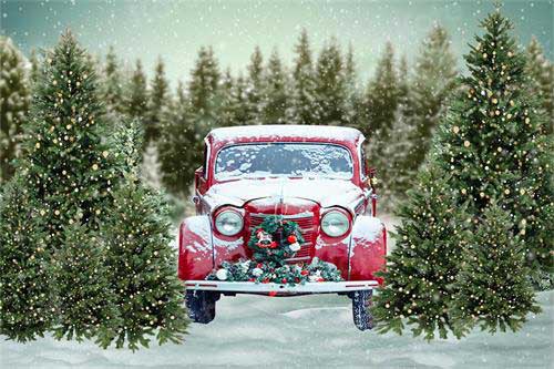 Kate Weihnachtsbaum Schnee Winter Auto Hintergrund für die Fotografie Weihnachten