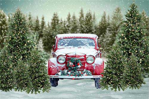 Kate Weihnachtsbaum Schnee Winter Auto Hintergrund für die Fotografie Weihnachten - Kate Backdrop.de