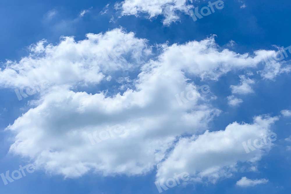 Kate Landschaft Hintergrund Blauer Himmel von Emetselch - Kate Backdrop.de